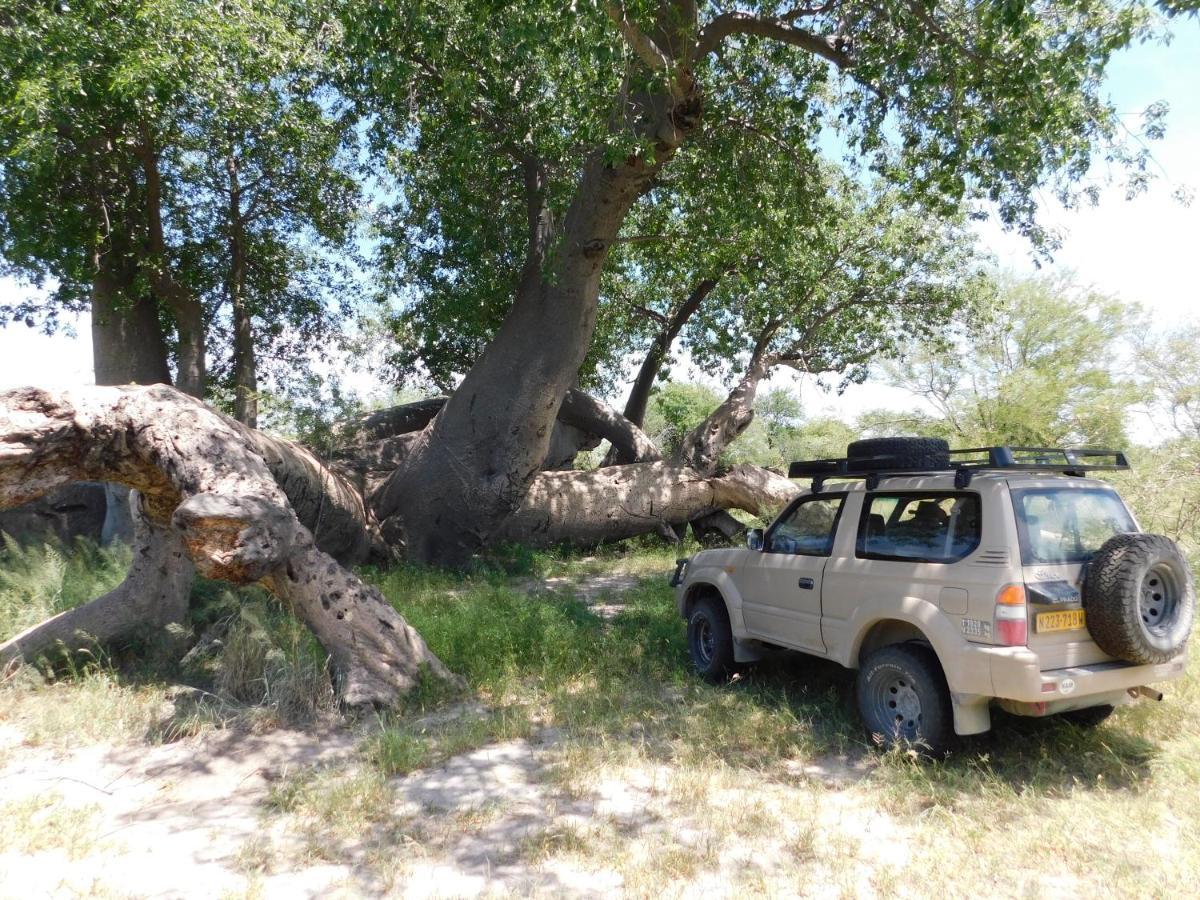 Tsumkwe Country Lodge Екстериор снимка