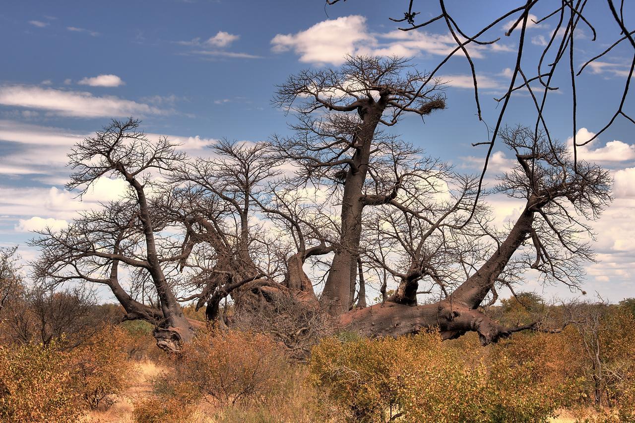 Tsumkwe Country Lodge Екстериор снимка